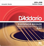 :D'Addario EJ17 PHOSPHOR BRONZE       Medium 13-56 D`Addario
